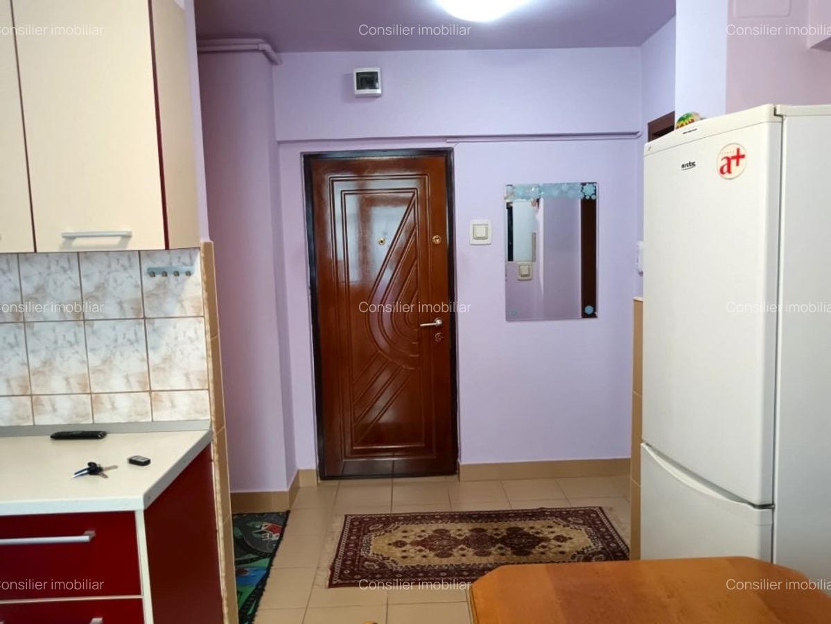 Apartament cu 2 camere si garaj, Zona Iulius Mall- 7 minute de FSEGA! - 14