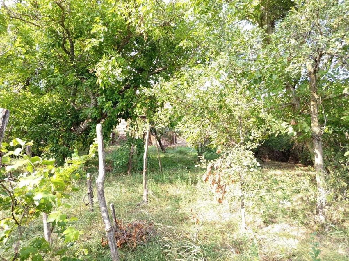 Ciuchici, Casa 7 Incaperi, 1151mp Teren, Pret Negociabil, ZERO COMISION - 11