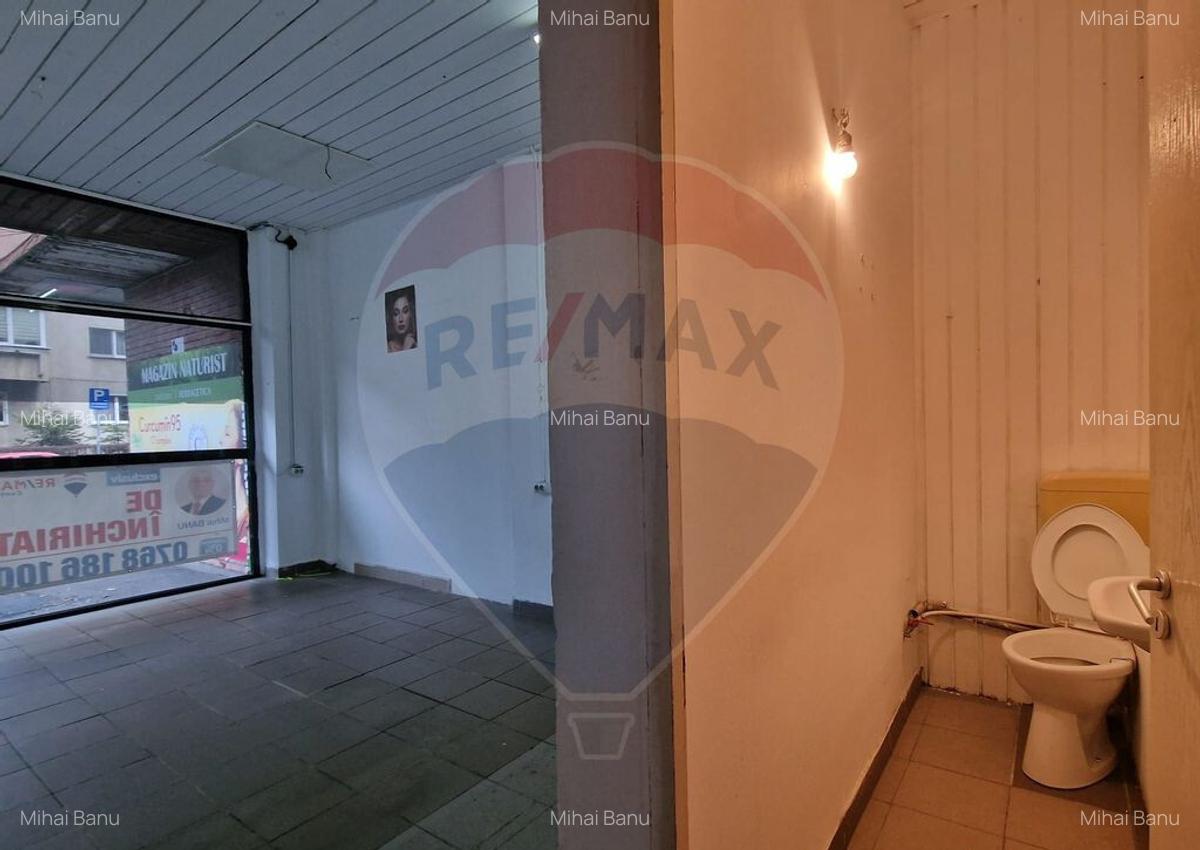 Spa?iu comercial de inchiriat Scriitorilor, strada Cara... - 17