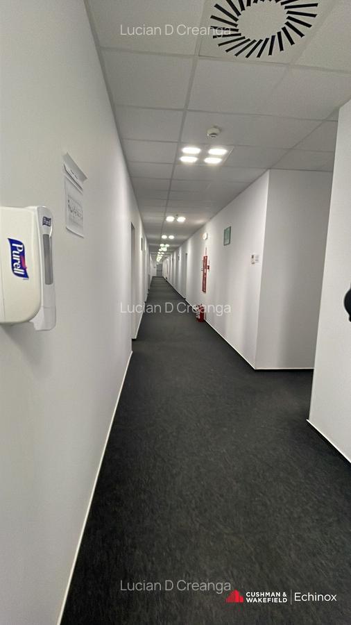 Hala 3026mp, teren 13653mp, Dumesti - 8 Hala 3026mp, teren 13653mp, Dumesti - 8