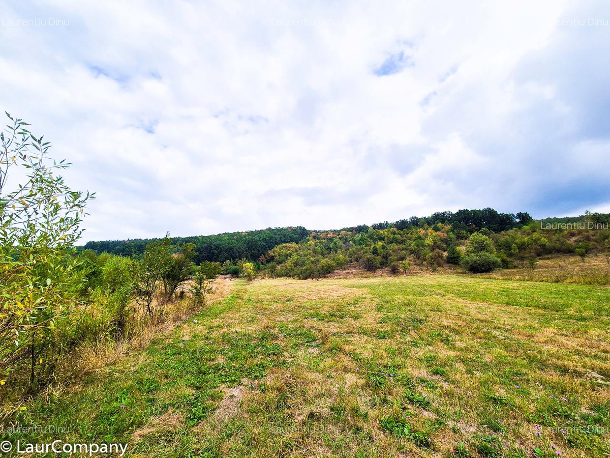 Teren 1,4 hectare Draganu Arges - 1