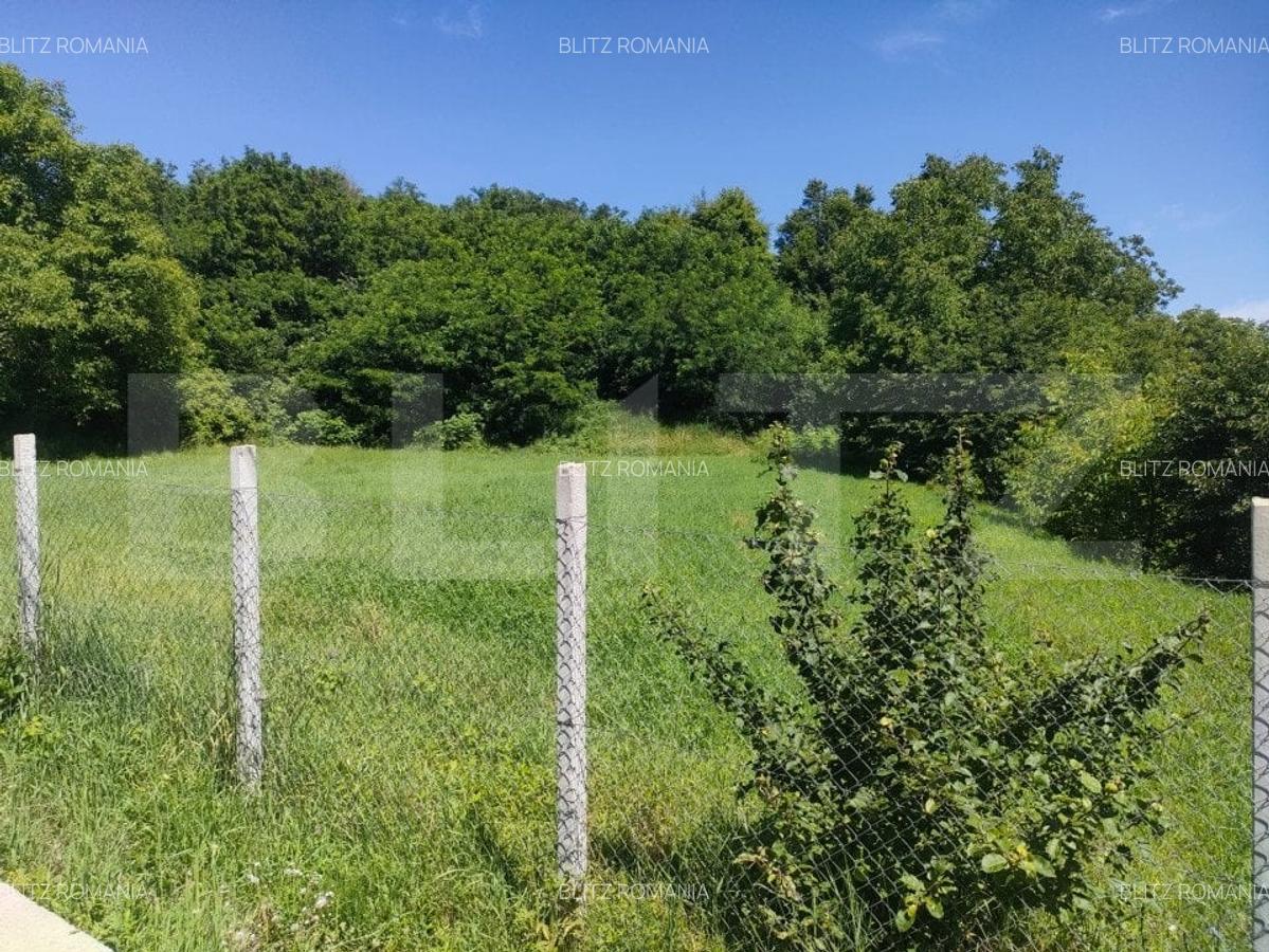 Teren intravilan, 2200mp, front 30 ml, Siret - 1
