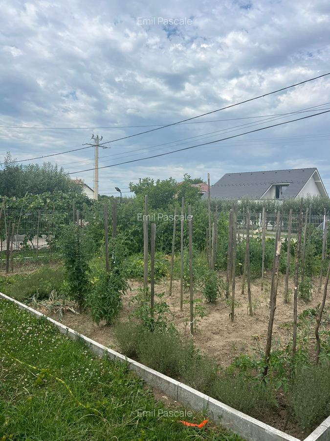 De vanzare – Casa spatioasa in Gura Raului, Sibiu - 4
