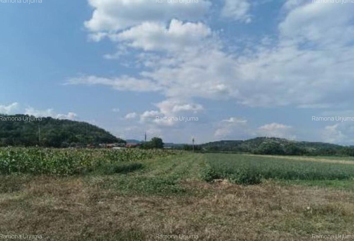 Cota de 1/2 din teren 2356 mp Com. Mihaesti, jud Valcea - 1 Cota de 1/2 din teren 2356 mp Com. Mihaesti, jud Valcea - 1