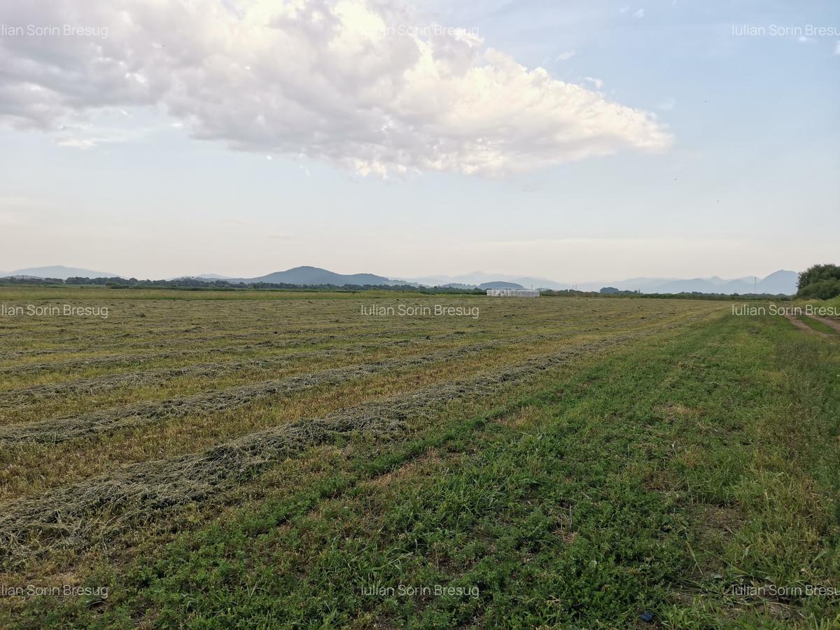 Teren agricol in zona Bod - 2
