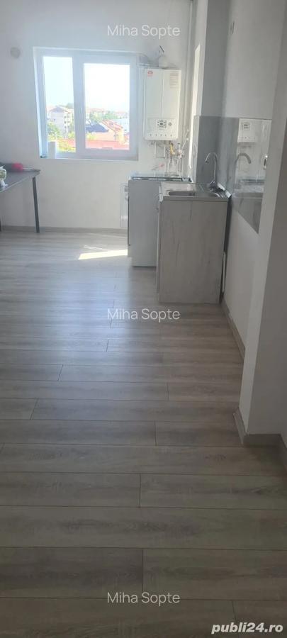 Proprietar - 4