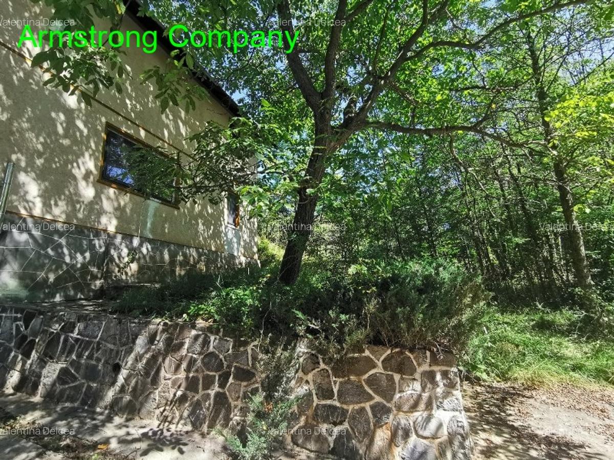 Un traseu spre natura - priveliste de vis si liniste absoluta - 2