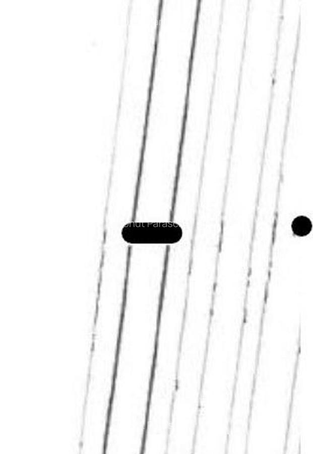 Teren extravilan cota 3/32 Smardan, ID: R2763204 - 3