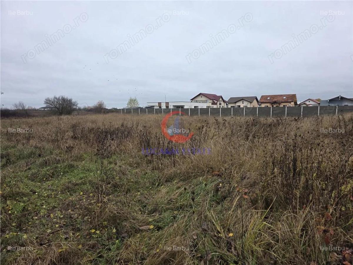 Teren intravilan de vanzare Albina, Timi? 759 mp - 1