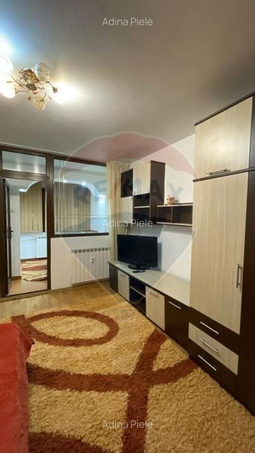 Apartament cu 1 camera de inchiriat in zona Brazda lui Novac - 3