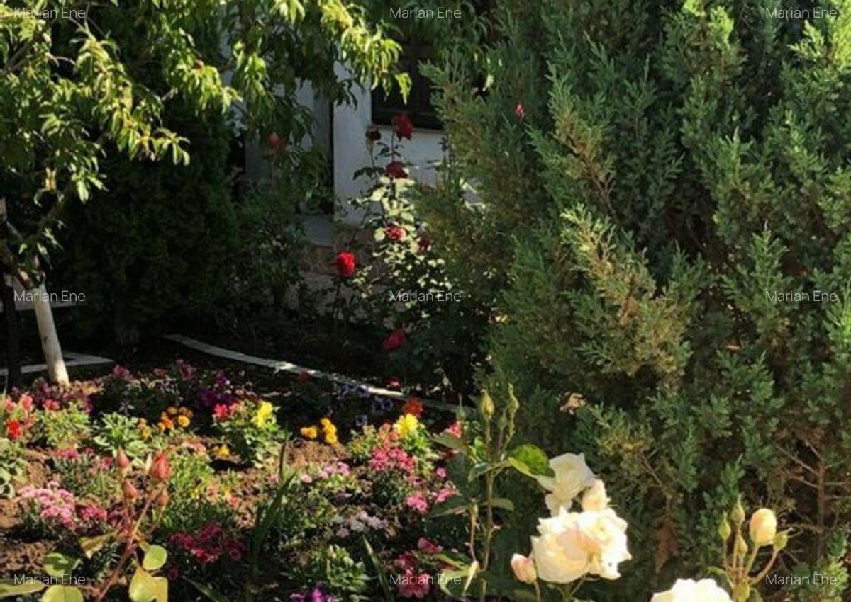 Vila - parter + mansarda - Sendreni, jud. Galati - 6