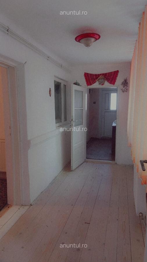 Basarabia, casa singur curte, locuit/diverse activitati - 4