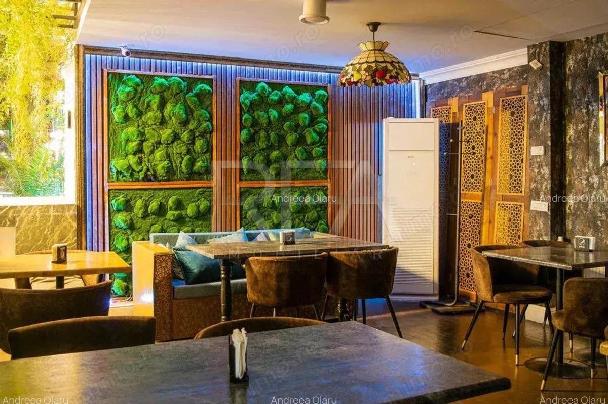 Vanzare Afacere La Cheie - Arcul de Triumf - 4