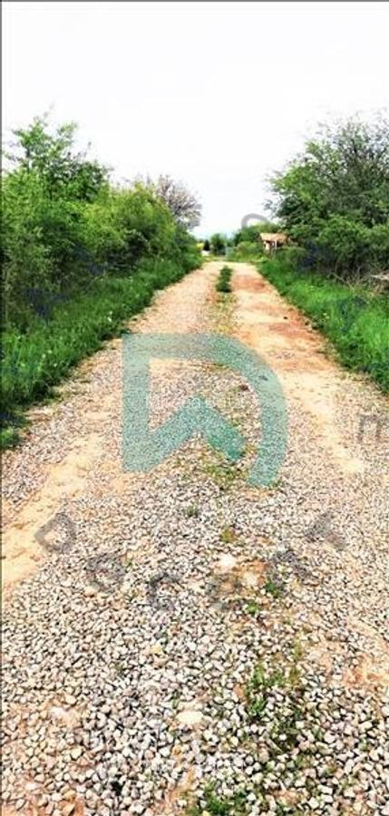 Vanzare teren intravilan, Sanpetru, Livada - 12