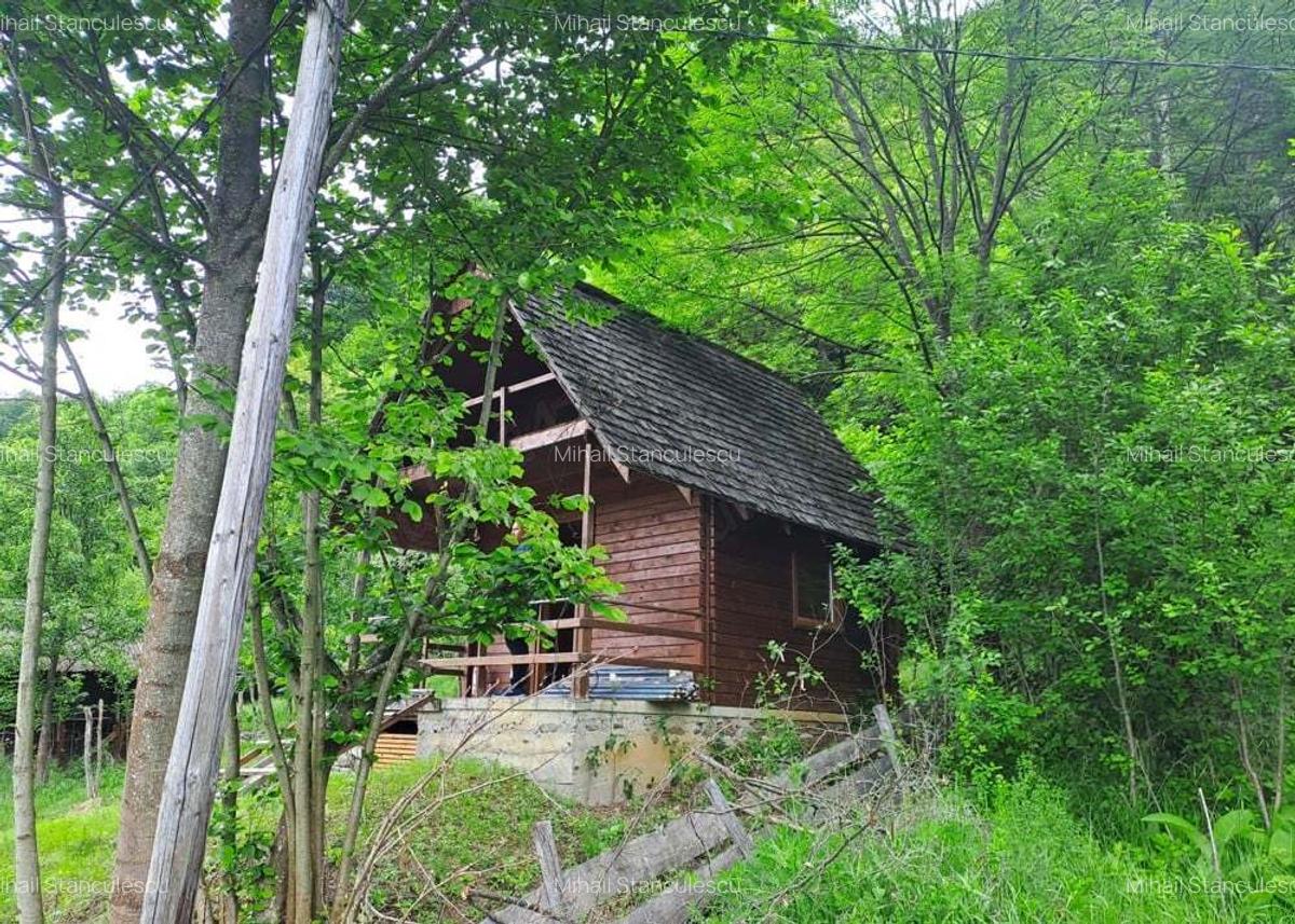 Cabana Bradulet s-a VANDUT - 3