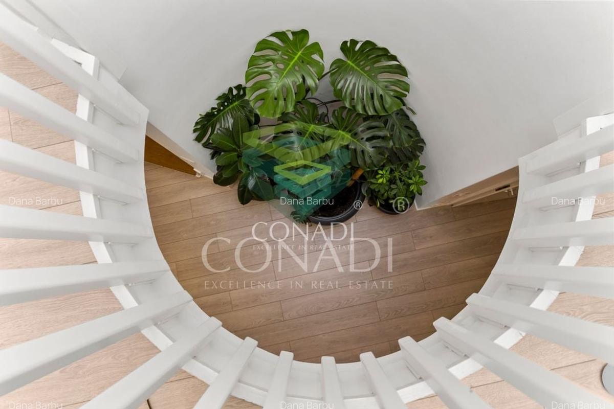 Iancu Nicolae- Pipera, British School, vila cu 6 camere de vanzare, - 4