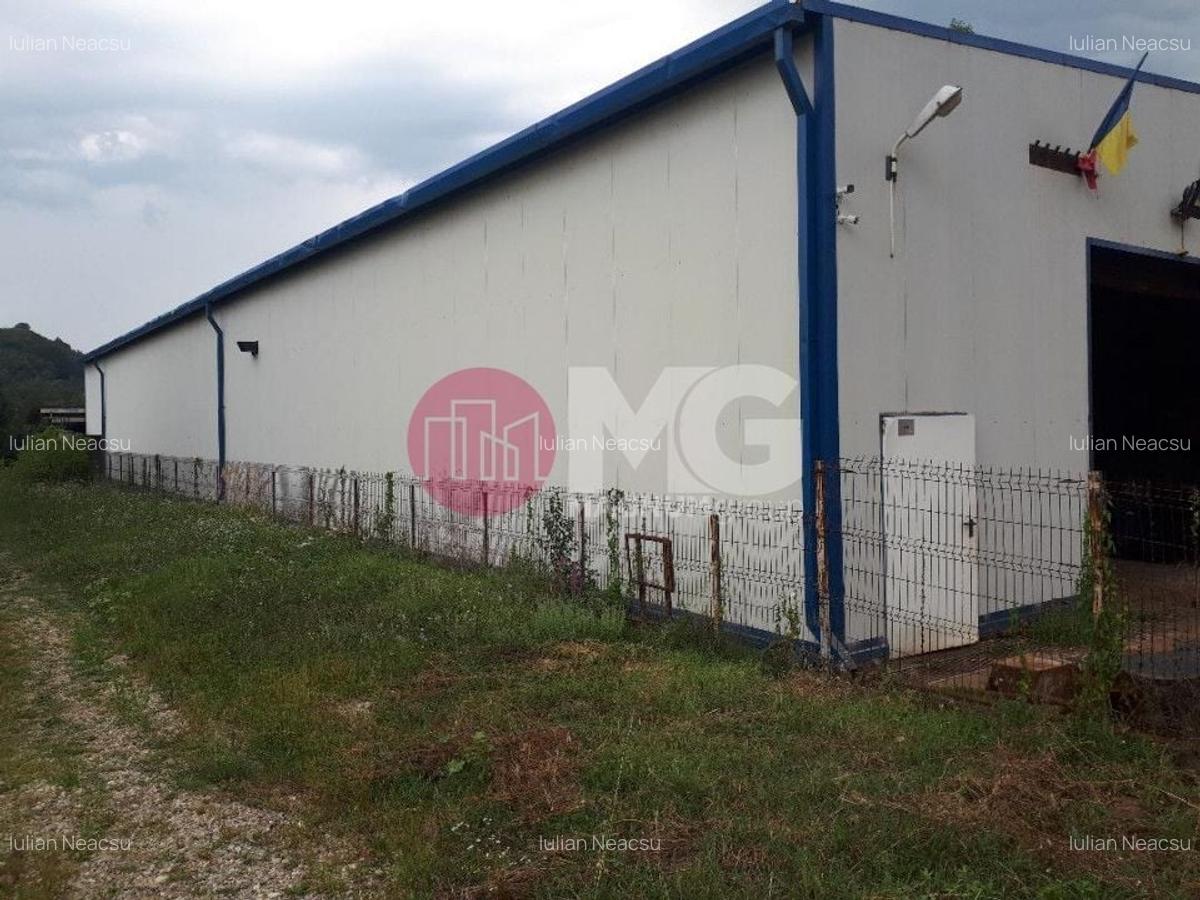 Hala industriala + teren Pausesti Valcea - 10