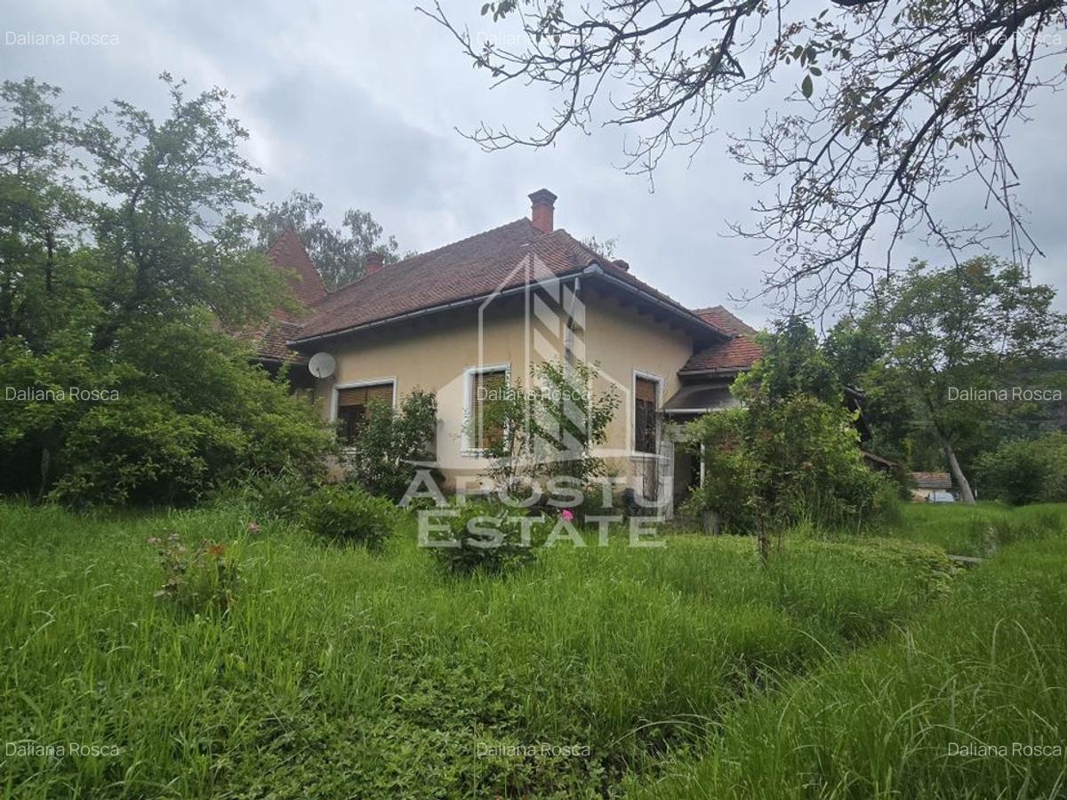 Proprietate cu potential turistic in Gurahont - 1