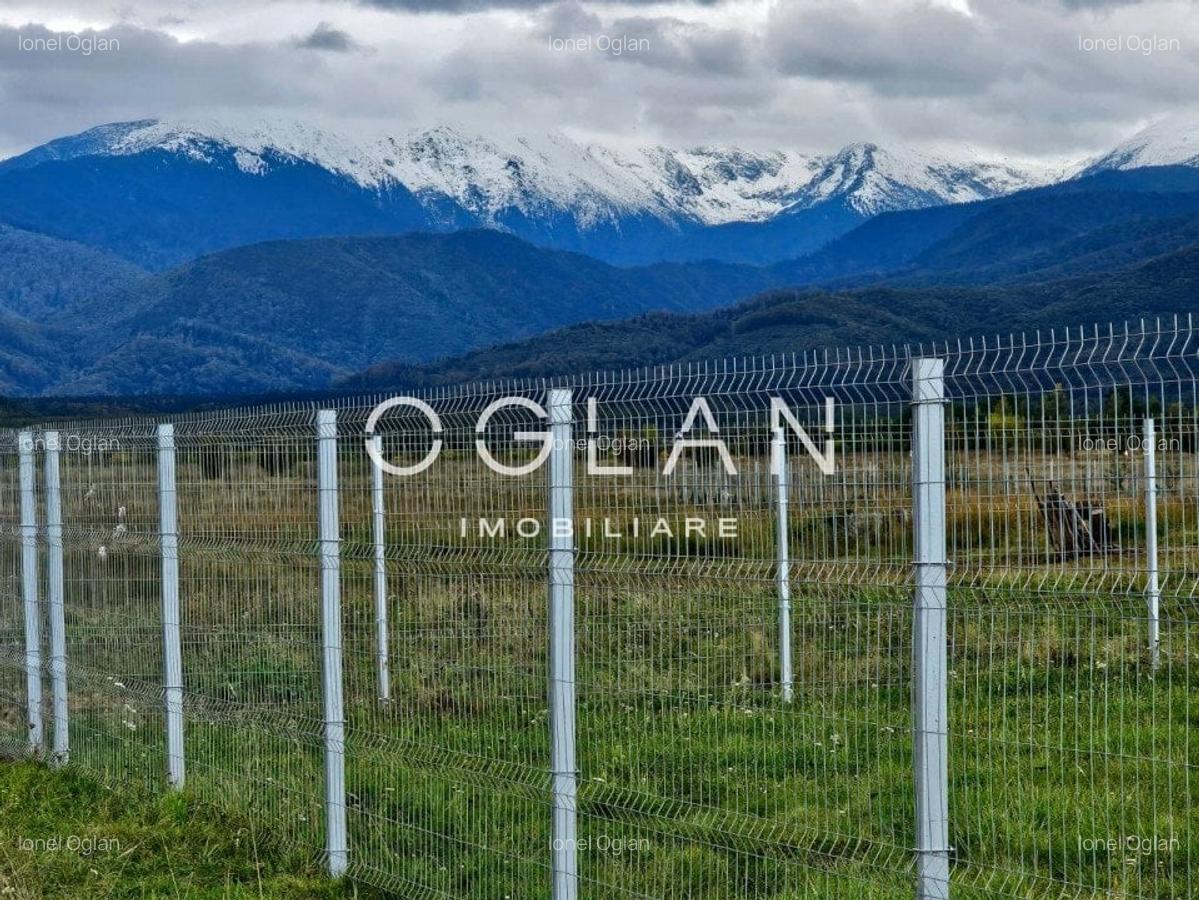 SUPER OFERTA! Teren 2000mp - Valea Avrigului, Sibiu - 5