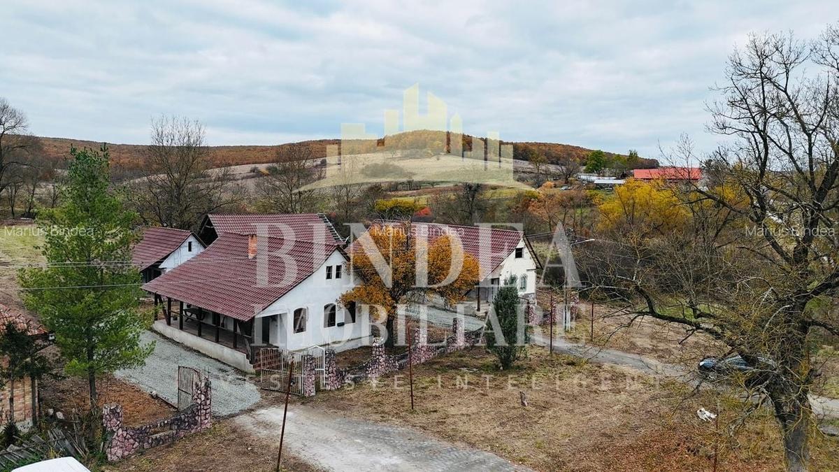 Oportunitate investitie: două reședințe de vacanță/ cabane 3940mp teren - 9