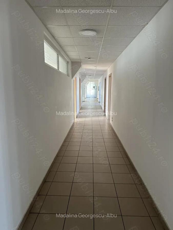 Theodor Pallady stradal birou 410 mp utili LIBER - 14