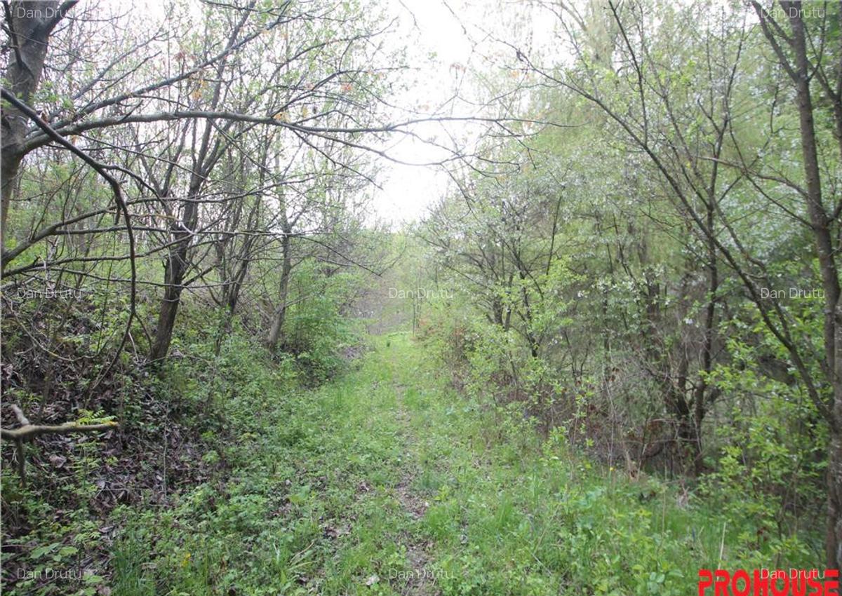 Valea Budului - Teren intravilan. Lac. Padure - 16