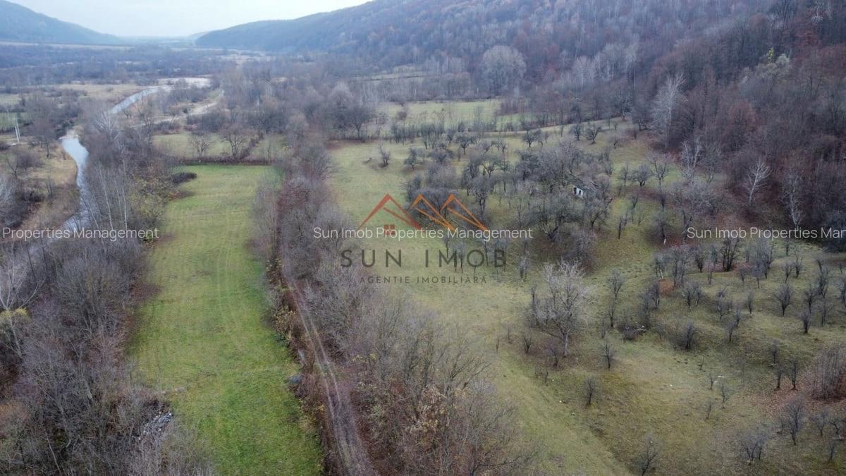 Teren Construcții intravilan de 36000 mp, în Provița de Jos - 10