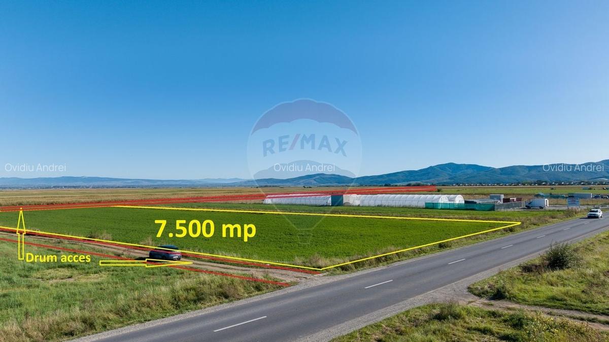 Teren 7,500mp Tarlungeni / Strada Zizinului - 9