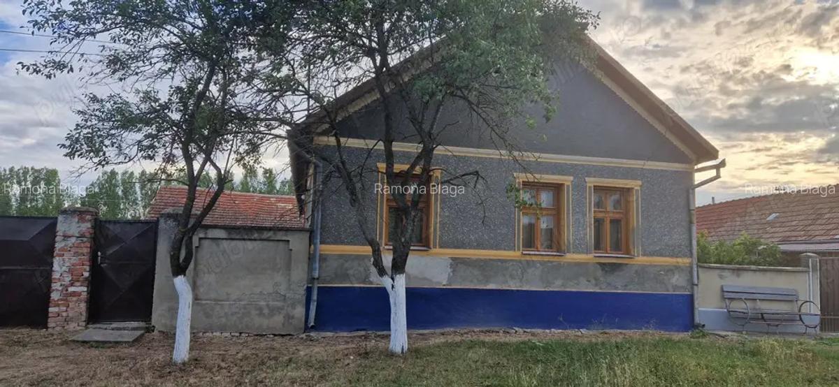 Vand casa cu gradina - 1
