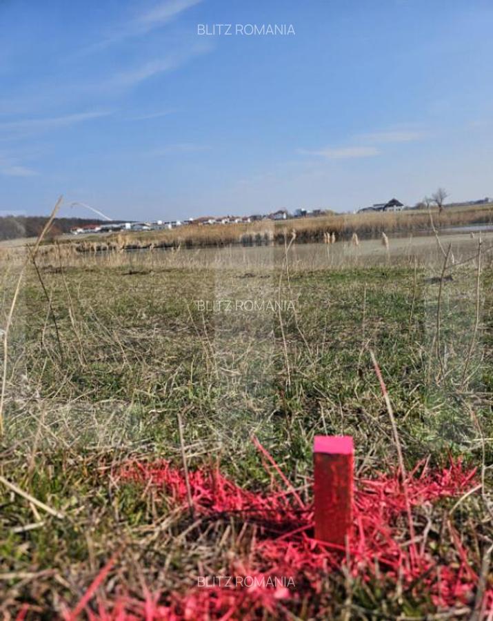 Teren de Vanzare - Lac Mogosoaia - 6