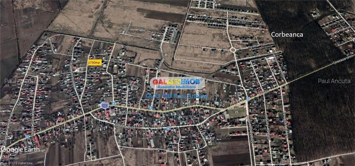 Teren Corbeanca Tamasi 1730 mp str Conacului utilitati - 4
