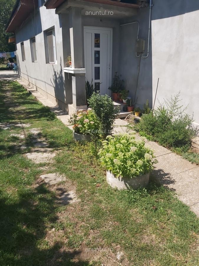 Crevedia Mare, Giurgiu - 5