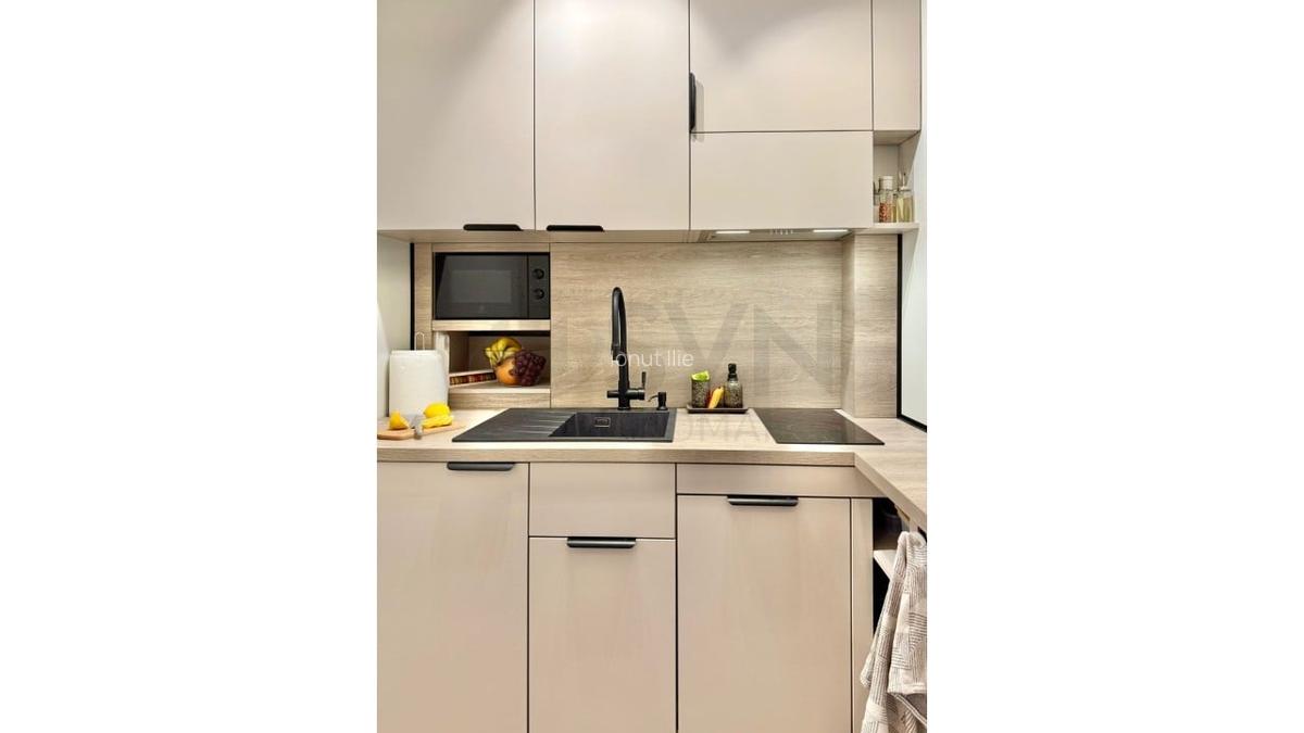 REA1024293 Apartament 2 camere Cismigiu I Plevnei - 6