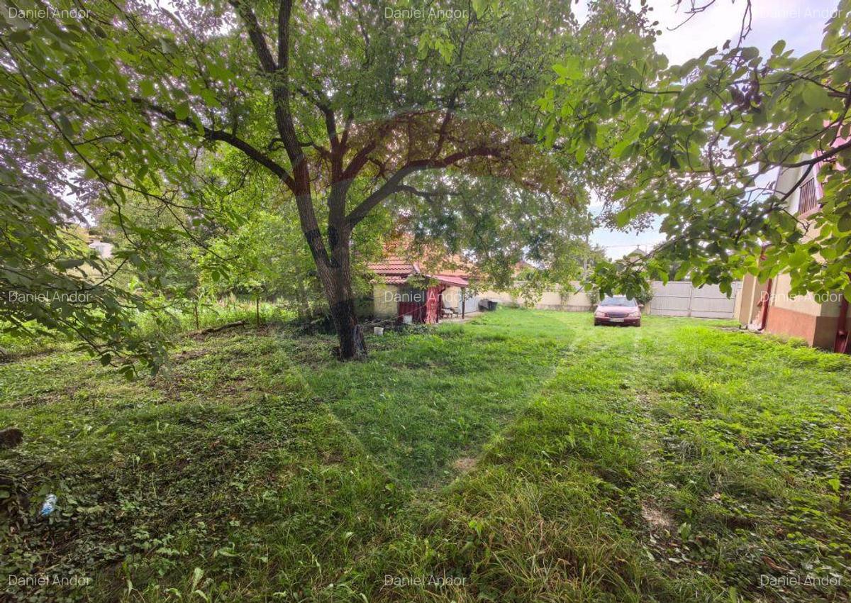 Casa traditionala De Vanzare cu 5 Hectare de teren - 12