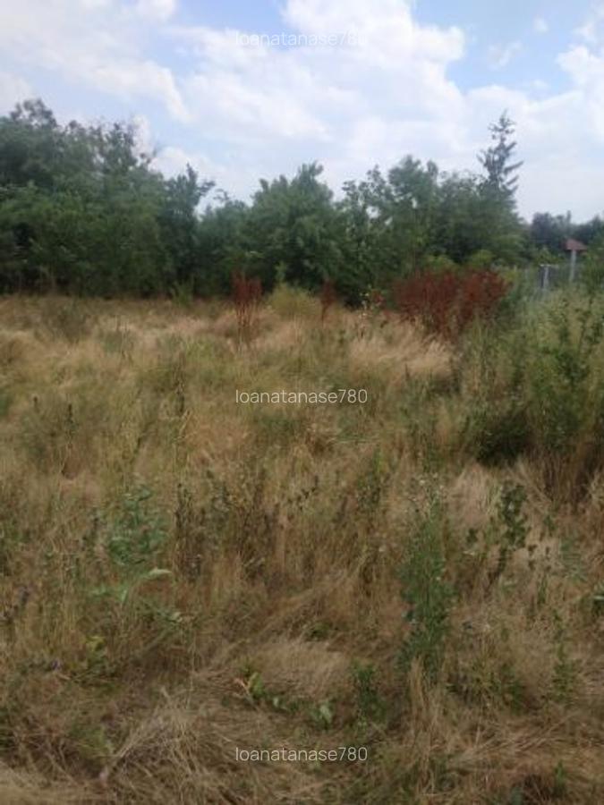 Vând teren intravilan 1800 metri pătrați - 5