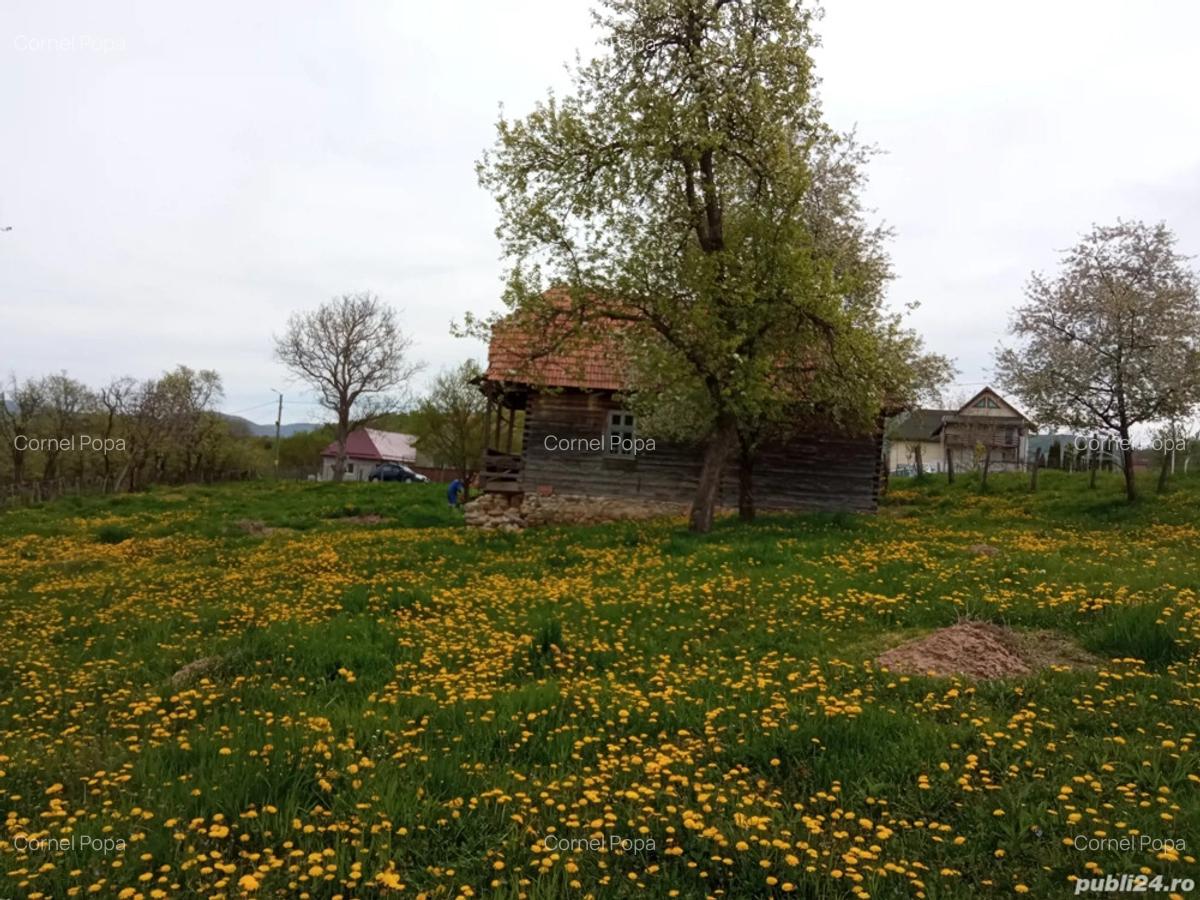 Vand casa cu gradina - 2