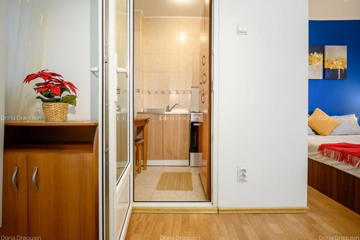 Garsoniera  Dristor, design artistic stil AirBnB, 7 min metrou, utilata complet - 10