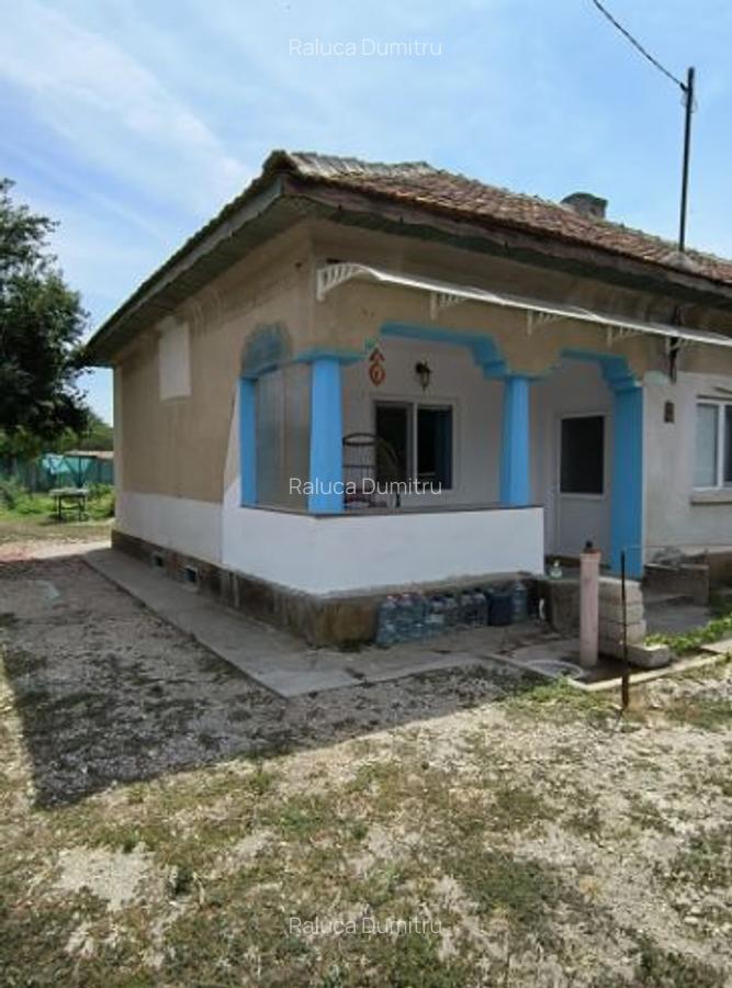 Casa si curte de vanzare, beci, 2 terase, 2 fantani - 7