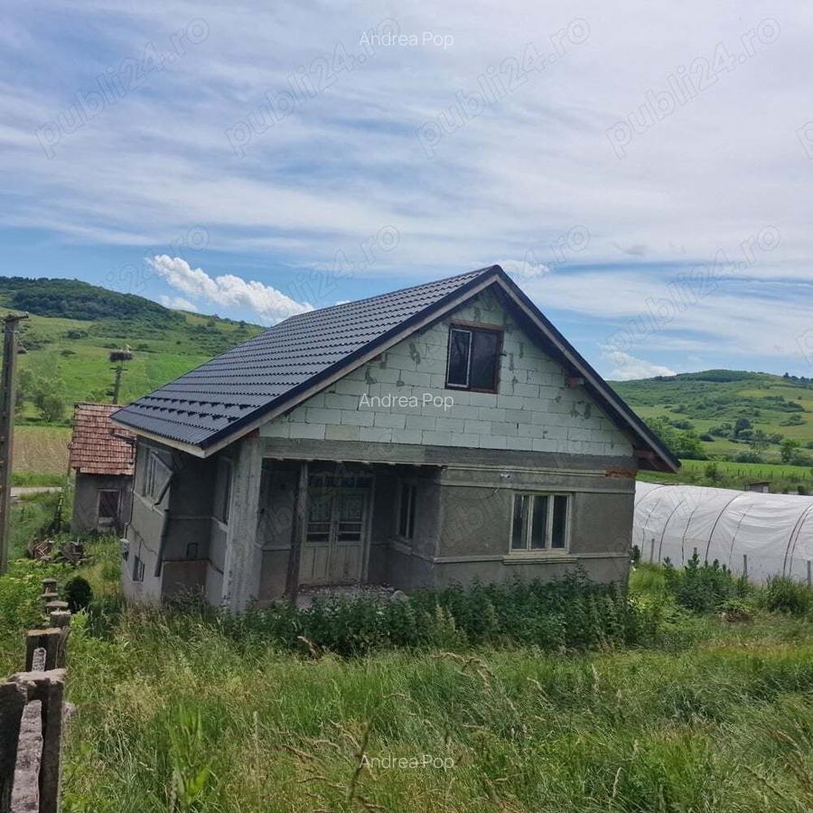 Casa de vanzare - 2