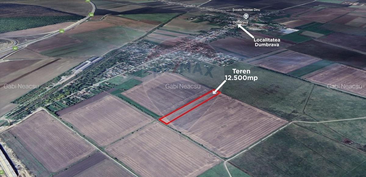Teren 12.500 mp/Extravilan/ Dumbrava-Prahova - 4