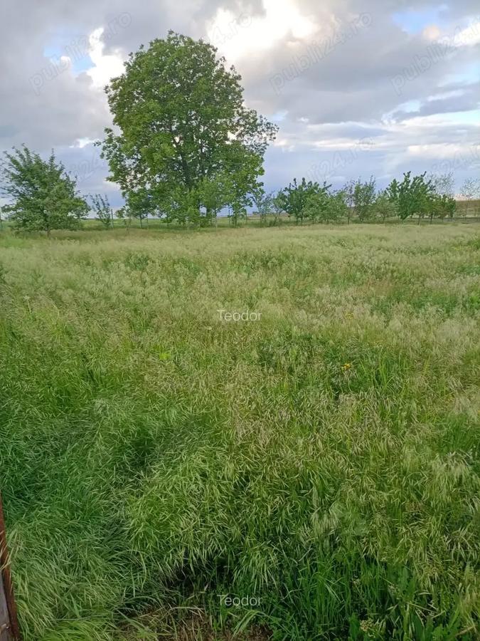 Vand casa in Barsanesti, judetul Botosani, teren 3868 mp - 7