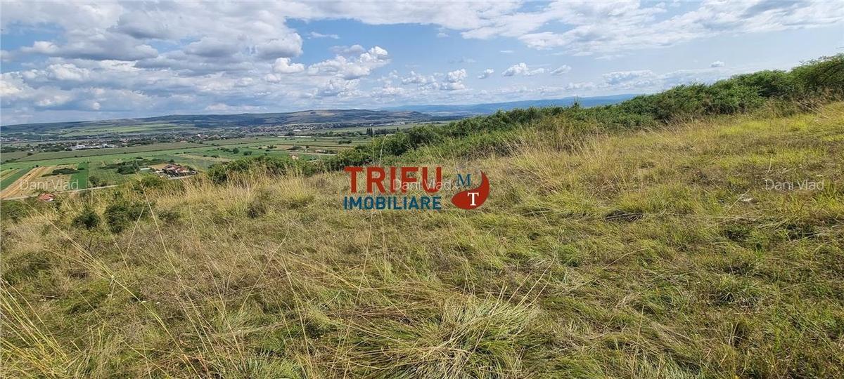 Teren extravilan de 2500 mp de vanzare  in Paclisa priveliste deosebita - 5