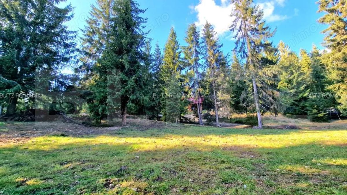 Teren 1.700 mp langa liziera padurii, utilita?i, zona de cabane Mari?el - 1