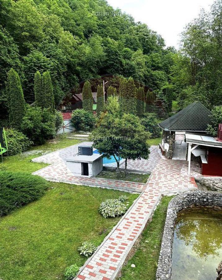 Cabana / casa de vanzare in Baisoara, 285 MP ! Piscina! C... - 7