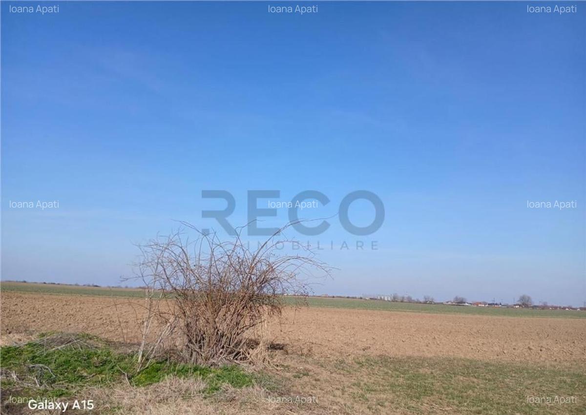 RECO Teren intravilan aproape de zona industriala Biharia - 4