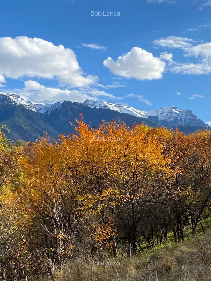Teren intravilan Sohodol, priveliste catre Bucegi, Piatra Craiului,Magura Codlei - 1