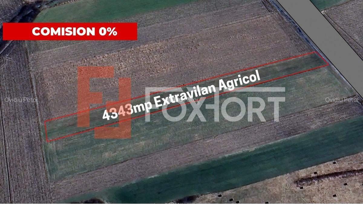 COMISION 0% Teren extravilan agricol, Utvin - 4343 mp - 1