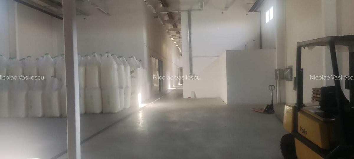 Hala zona de nord Buftea - 8