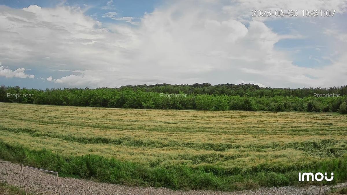 Loc de casa - Snagov - teren intravilan - 1
