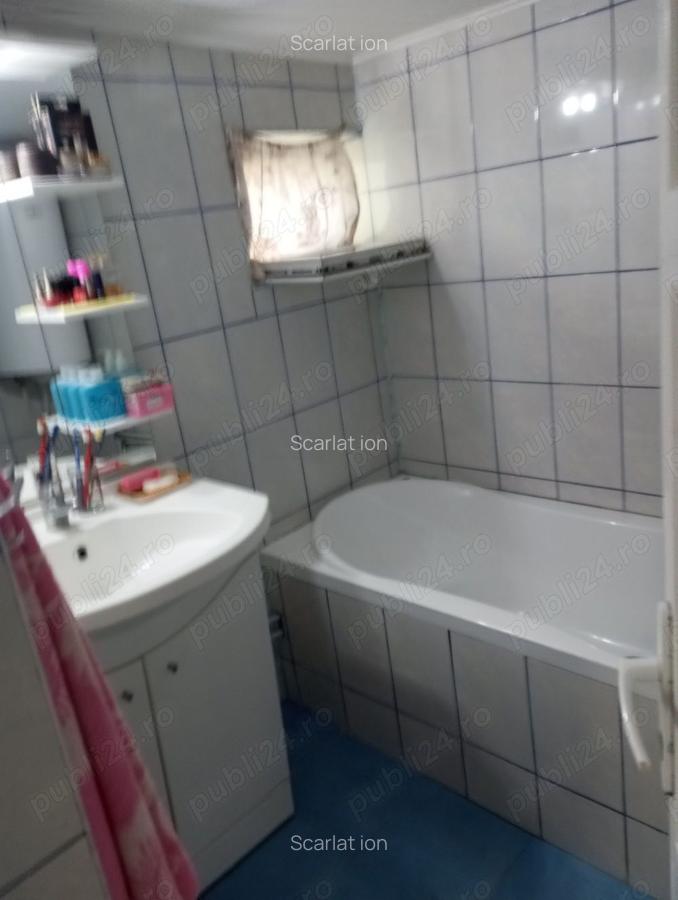 Casa batraneasca de vanzare - 2